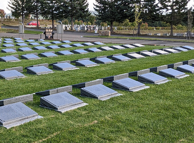 ワン ファミリー